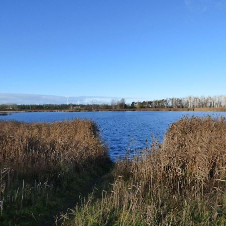 Uckermark "Ferienwohnung Sommerfugl " Passow  Exteriör bild