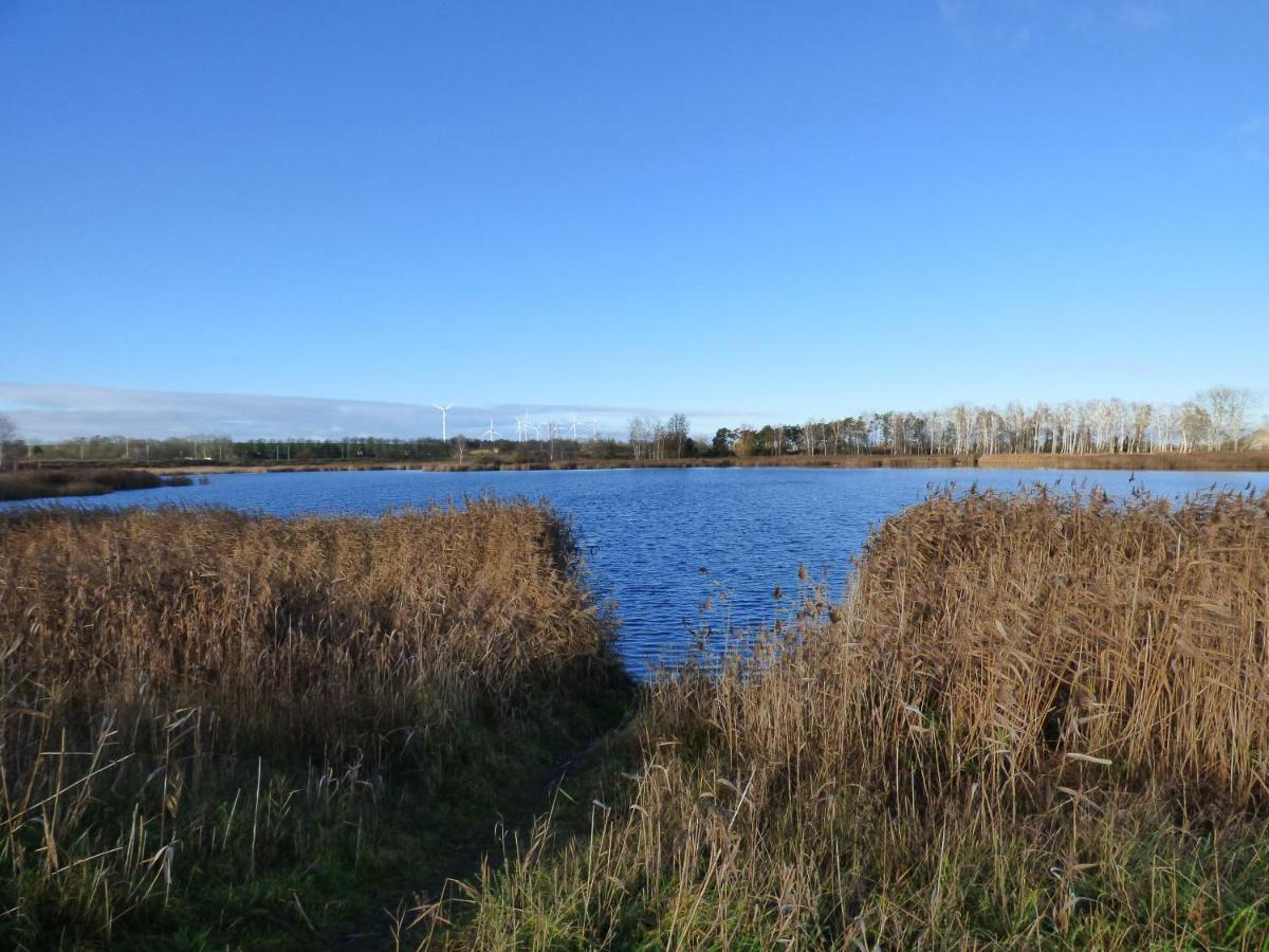 Uckermark "Ferienwohnung Sommerfugl " Passow  Exteriör bild