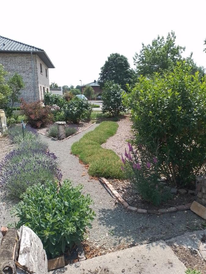 Uckermark "Ferienwohnung Sommerfugl " Passow  Exteriör bild