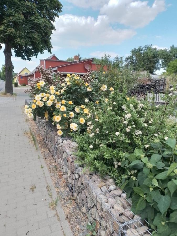 Uckermark "Ferienwohnung Sommerfugl " Passow  Exteriör bild
